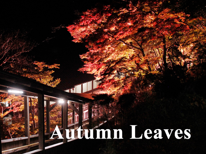 Autumn leaves